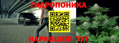 стаф Краснознаменск